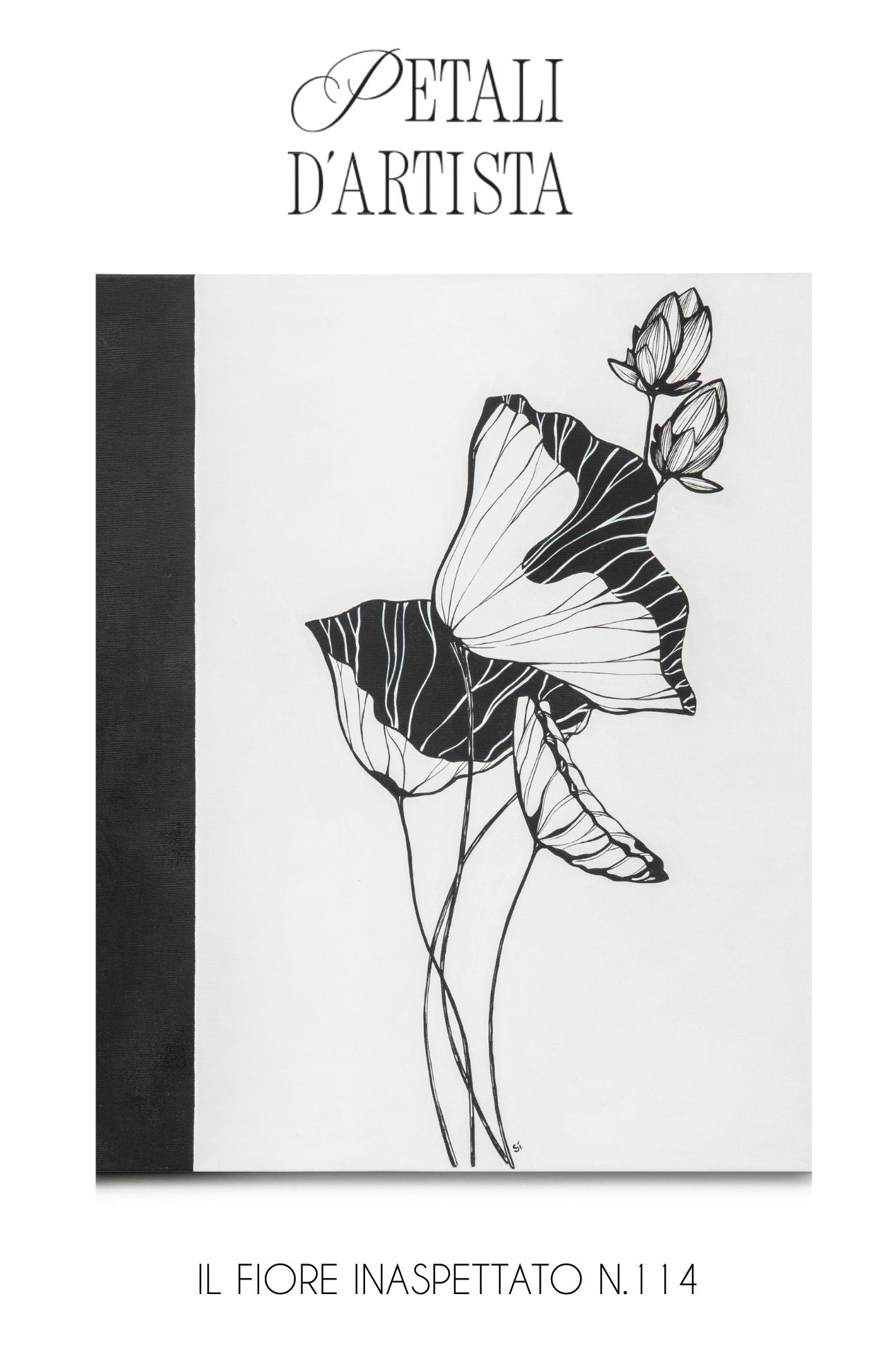 BLUSA CON STAMPA PIAZZATA