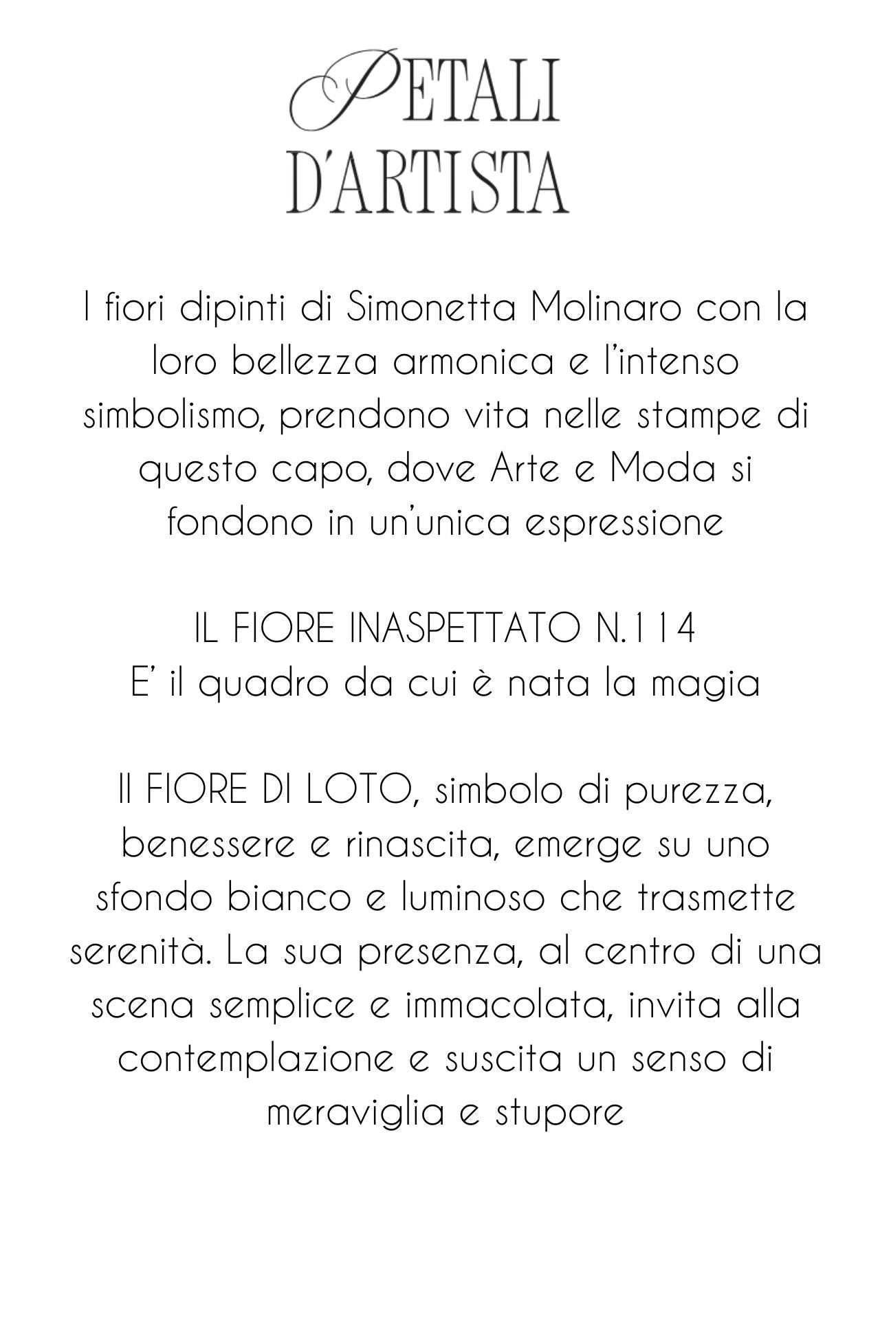 BLUSA CON STAMPA PIAZZATA